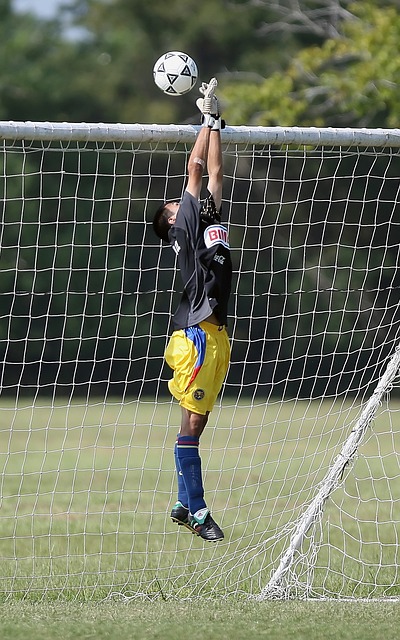 这种支持为 这种支持为